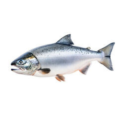 Obraz premium Flying salmon fillet, isolated on a white background, adding a playful and dynamic touch. PNG