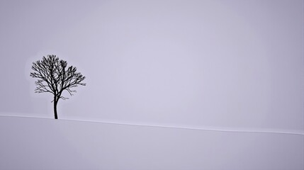 Obraz premium Generative AI, This image captures the essence of minimalist nature, featuring a single tree standing alone in a vast, featureless white space