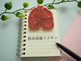 肺の模型イメージと肺炎球菌ワクチンの文字