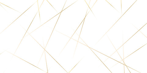 Abstract red and golden color line straight Vector in white background. geometric random chaotic line design with transparent background Vector Illustration.	