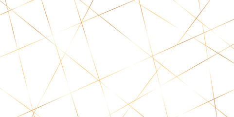 Abstract red and golden color line straight Vector in white background. geometric random chaotic line design with transparent background Vector Illustration.	