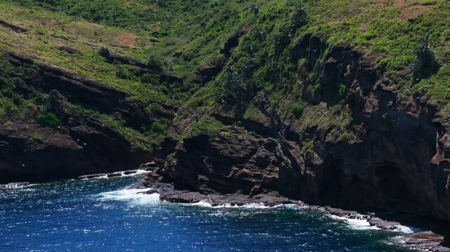 Yellow-billed tropicbird colony fly around sea cliffs of tropical island. Drone