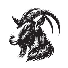 Goat Vector