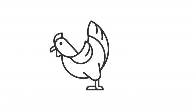 Animated hen icon. Brood bird line animation. Moving chicken, shaking feathers. Farm animal. Wildlife, livestock. Black illustration on white background. HD video with alpha channel. Motion graphic