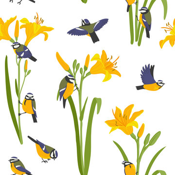 yellow daylily and blue tit birds, vector drawing seamless pattern with flowers and birds at white background, hand drawn botanical illustration
