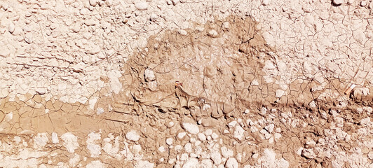 world day to combat desertification and drought