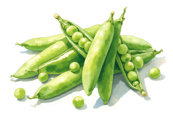 Fresh Green Peas Illustration
