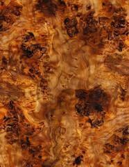 Burled Wood Weathered Tree Grain Background