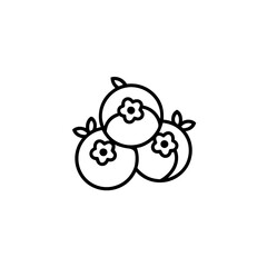 Blueberries outline icon vector illustration 