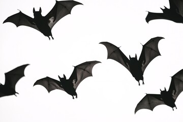 Bats soaring through the air cast a captivating shadow on a light backdrop, ideal for eerie Halloween visuals or haunting design concepts.