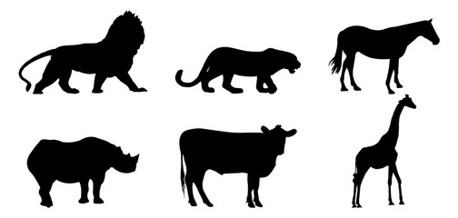 animal wildlife silhouette