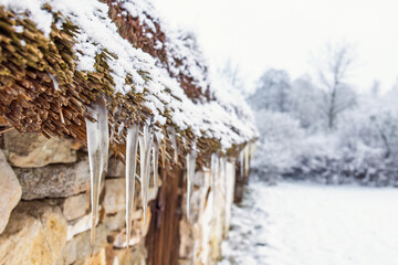 Icicles hanging from a thatched roof of an old cottage in winter © Lars Johansson