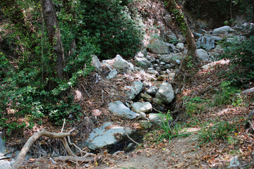 The path of the centaurs (after Cyclone Daniel) Portaria Pelion Greece