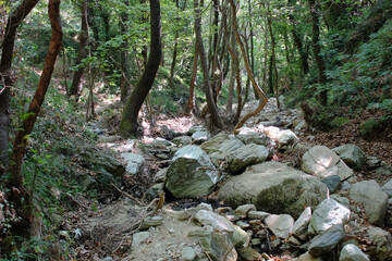 The path of the centaurs (after Cyclone Daniel) Portaria Pelion Greece