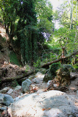 The path of the centaurs (after Cyclone Daniel) Portaria Pelion Greece