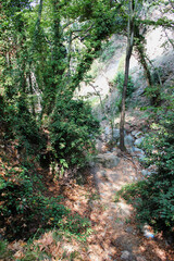 The path of the centaurs (after Cyclone Daniel) Portaria Pelion Greece
