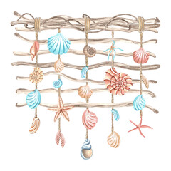 Seashells and starfishes are hunging on branches with liane. Hand drawn watercolor illustration isolated. Decor for home in mediterranean style. Clipart for postcard, sticker, shop window, interior.