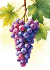 Fototapeta premium Watercolor Painting of Hanging Grapes and Leaves