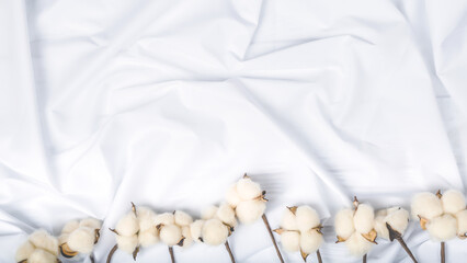 cotton branch on white cotton fabric, cotton background.