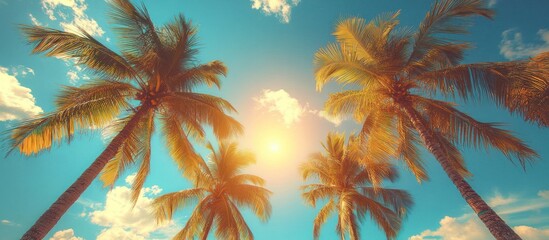 Palm trees silhouette against blue sky with white clouds and sun.