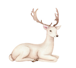 Cute deer illustration. Realistic watercolor hand painted art isolated on white background. Woodland wild animal. Element for decorative forest design.