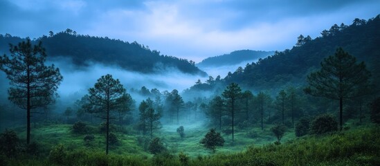 Foggy mountain landscape at sunrise with lush green vegetation.