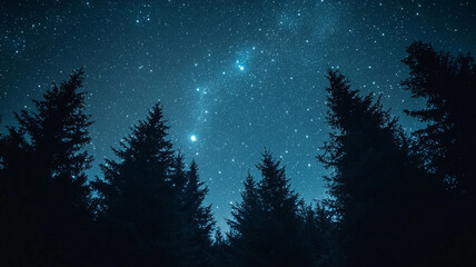 Naklejka premium Starry winter solstice night sky over a forest in a remote location