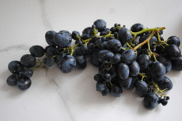 blue grapes on vine