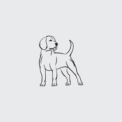 Art Hand Draw Illustration Dog Outline Clean Background