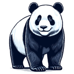 Panda vector illustration.