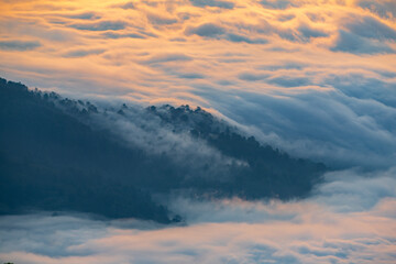 misty mountains