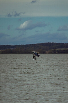 Wing foil rider riding in the lake.