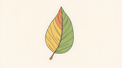 Single Multicolored Leaf with Veins on a White Background