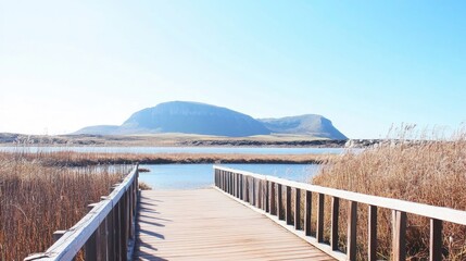 Boardwalk in a scenic natural reserve on a sunny but chilly winter day