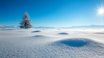 Solitary Snow-Covered Tree in Pristine Winter Landscape