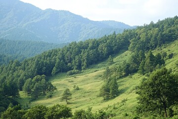 Fototapeta premium Tranquil hillside landscape with lush greenery and majestic mountains in midday light