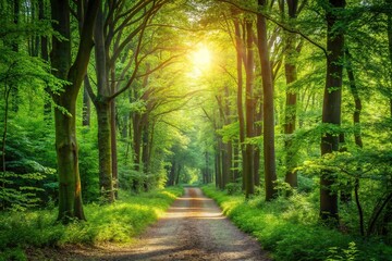 Fototapeta premium Symmetrical idyllic forest pathway through dense greenery, tranquil woodland scene with sun dappled trees and verdant underbrush