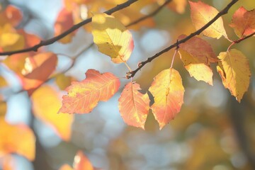 Golden autumn leaves glistening in soft sunlight against a serene backdrop of nature
