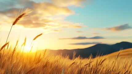 Fototapeta premium Stunning 3D of a tranquil golden wheat field at sunset showcasing the beauty of a serene pastoral countryside scene