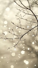 First Snowfall, Snowflakes