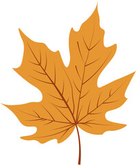Obraz premium Autumn yellow leaf