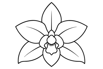 illustration of a flower