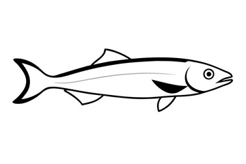 fish isolated on white background