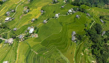 Rice ripening and harvesting season in Phung village, Hoang Su Phi, Ha Giang. Video shot in Ha Giang on September 8, 2023.

