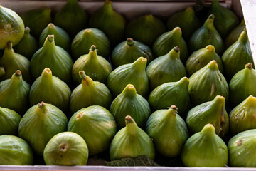 Box of fresh green fig fruits