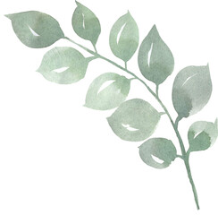 Watercolor green handpainted botanical leaf illustration