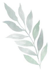 Watercolor green handpainted botanical leaf illustration