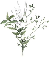 Watercolor green handpainted botanical leaf illustration