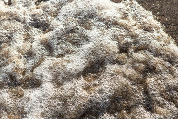 Sea shells shards and sand under sea water and foam bubbles with motion blur, soft focus close up