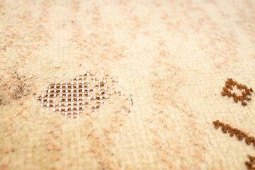 Moth infestation on a wool rug, soft focus close up